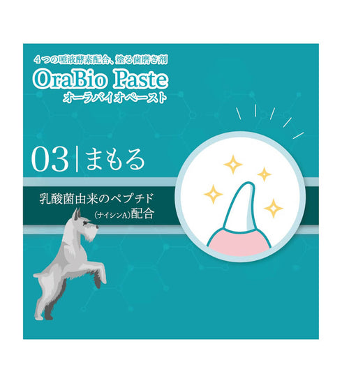 OraBio オーラバイオペースト